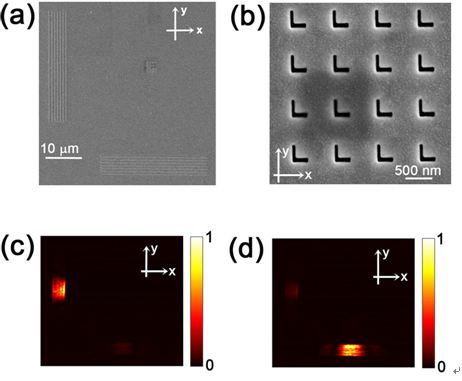 Fig. 2 Directional SPP launching using L-shaped optical slot nanotantennas. (a) SEM image of the experimental sample. (b) SEM image of the L-shaped optical slot nanoantenna array. (c) and (d) are CCD images of the scattering gratings for the left-circularly polarized and right-circularly polarized incident light, respectively. From Laser & Photonics Reviews (in press).